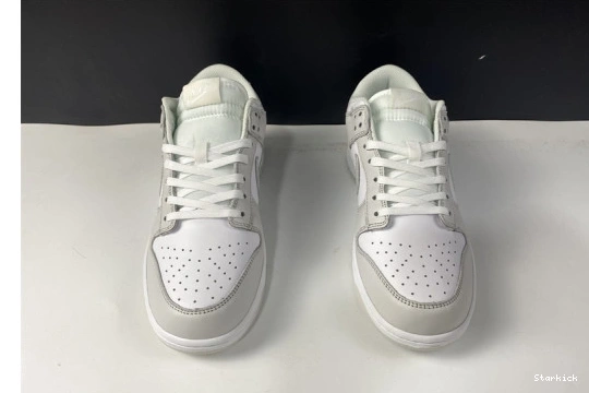 DD1503-103 Dust" Dunk Nike Low "Photon 0113